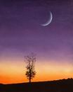 l'albero e la luna - Clicca per ingrandire
