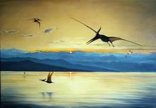 pteranodonti - Clicca per ingrandire
